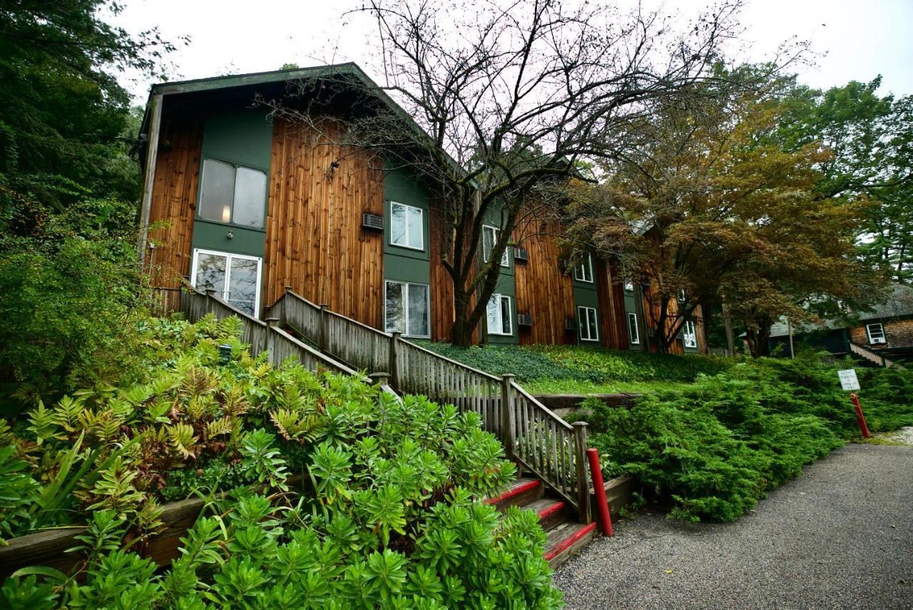 Apple Tree Inn 3*